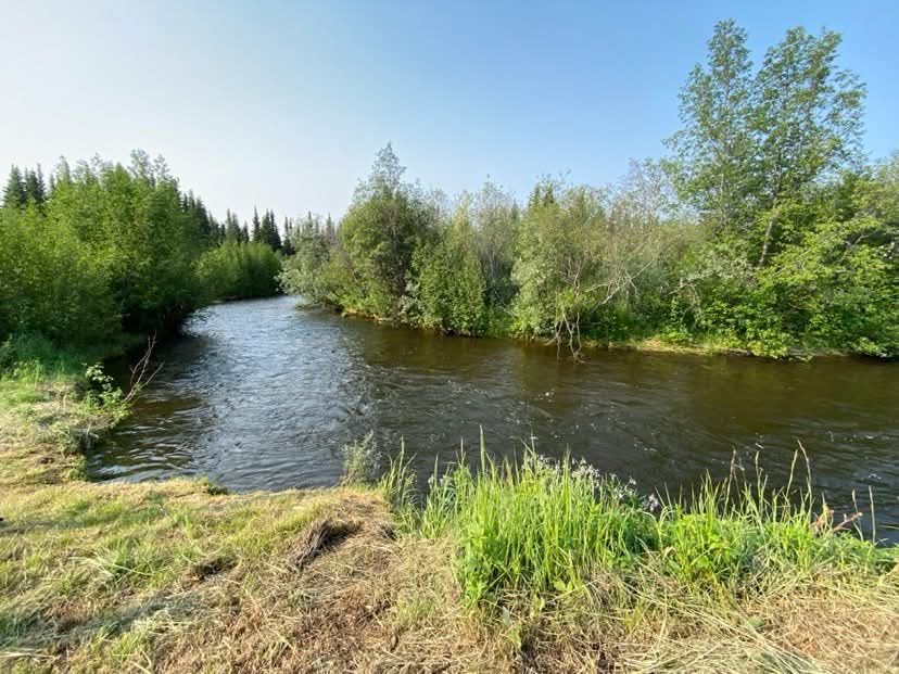 grassy waterway