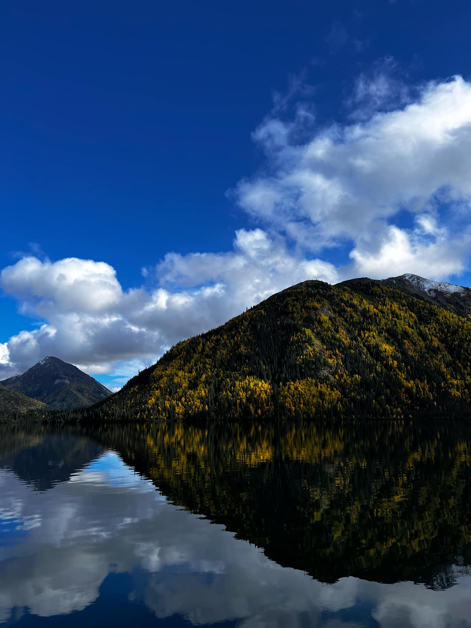 Trees on hills by water